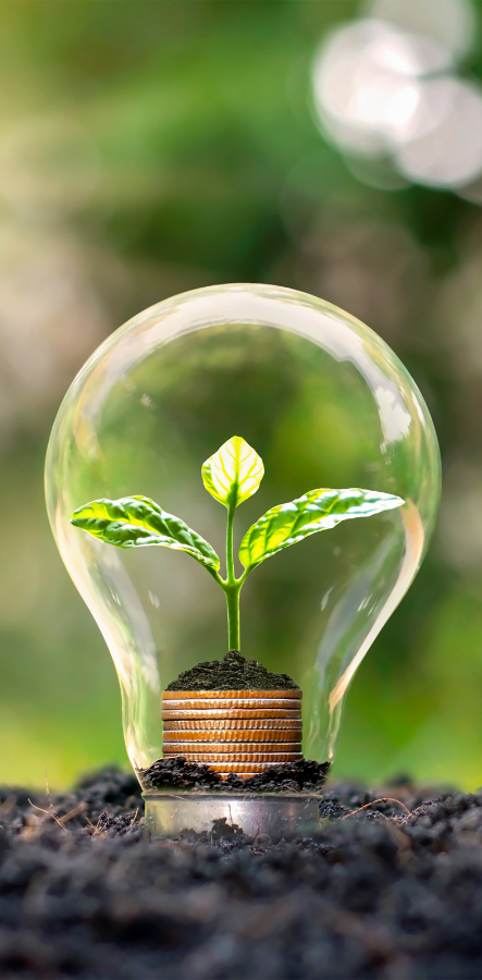 Find Your Legal
"<span>Expert</span>" .....